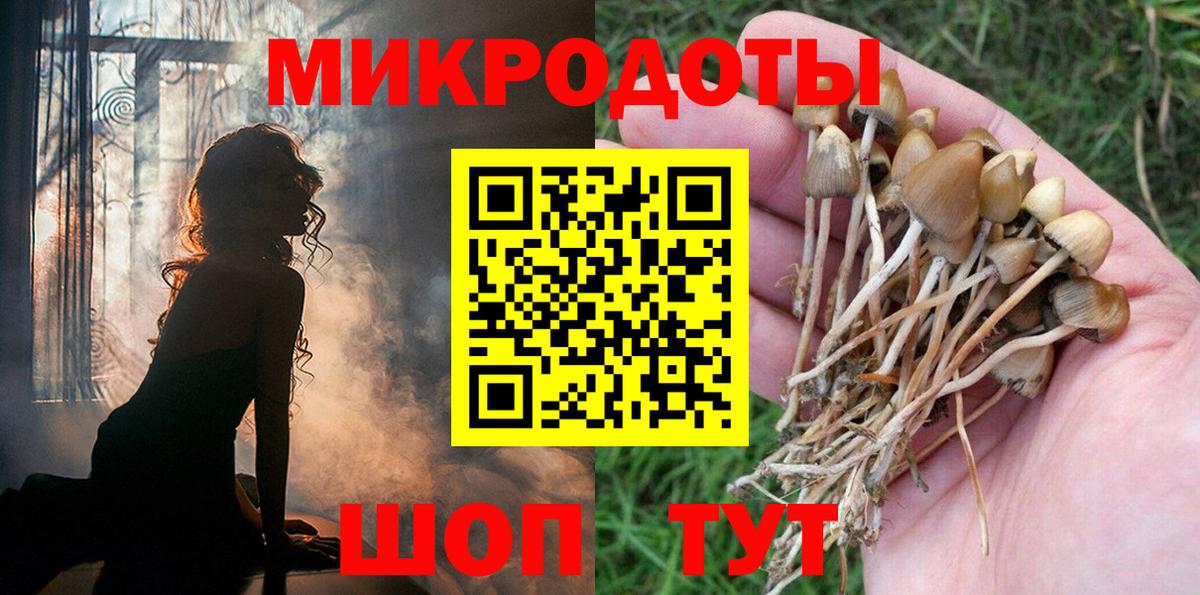 Псилоцибиновые грибы MAGIC MUSHROOMS  Вход с VPN  хочу наркоту  Сухой Лог 